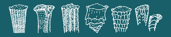 rudistes/rudistes-ornementation.gif