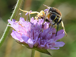 Vignette-210821-CRV-3514.jpg