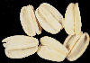 rqvt-graines-pm.jpg