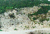rqvt-zone-a.jpg-pm.jpg