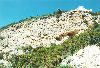 rqvt-zone-f-01-pm.jpg