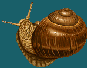 rqvt-moll.gif